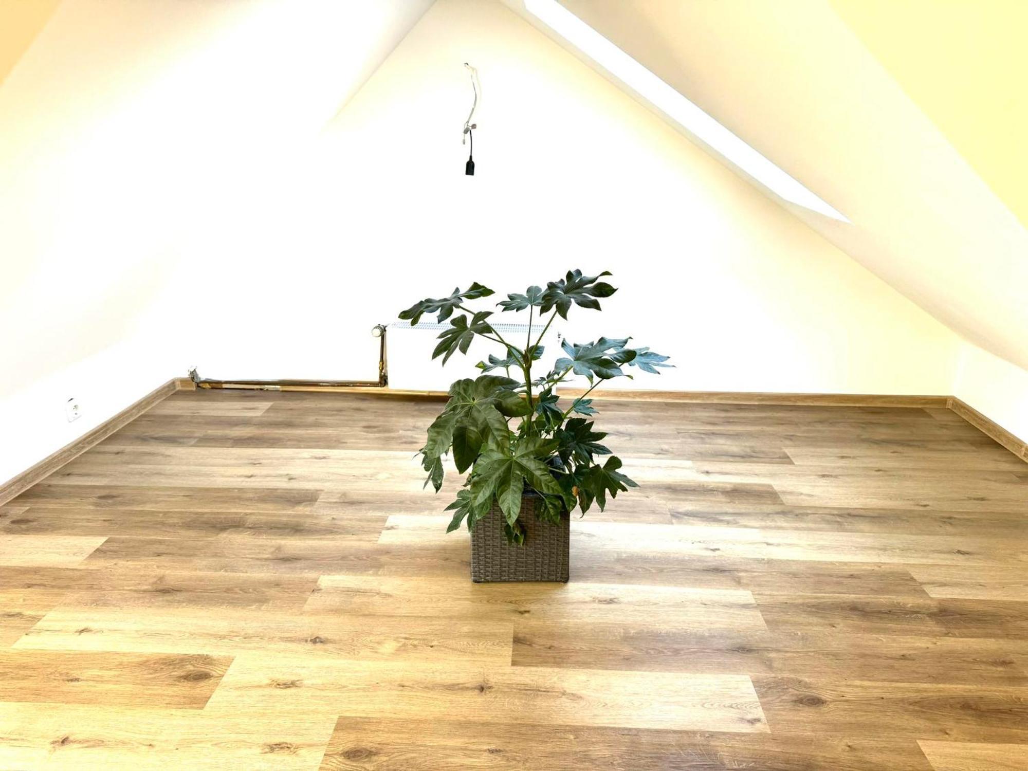 Ferienhaus Dierdorf Dış mekan fotoğraf